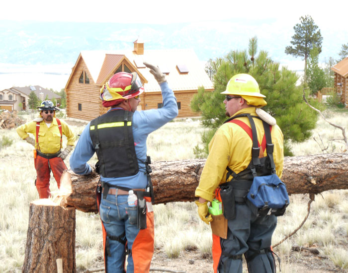 Instructor Charlie Blake (center) gives feedback to students during an S-212 Wildland Fire Chain Saws class field exercise on private land off of County Road 327 southwest of Buena Vista. Charlie volunteers as assistant chief for the Chaffee County Fire Protection District and also teaches for Colorado Firecamp. Mistletoe infestation continues as a forest health issue affecting the wildland-urban interface.